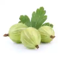 қарлыған01
