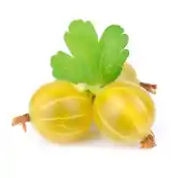 қарлыған2