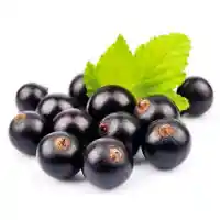 қарақат5
